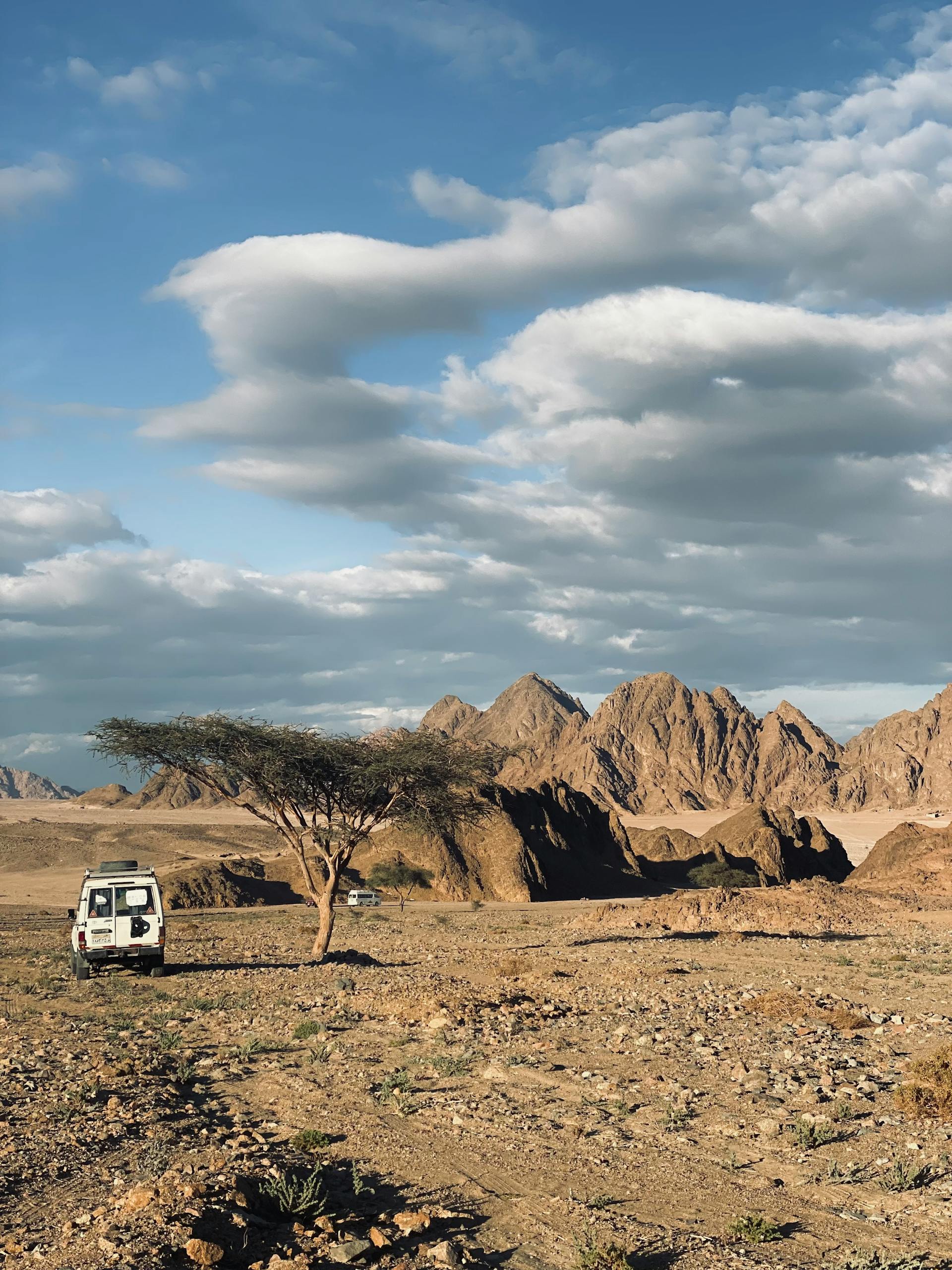 Bedouin Camp