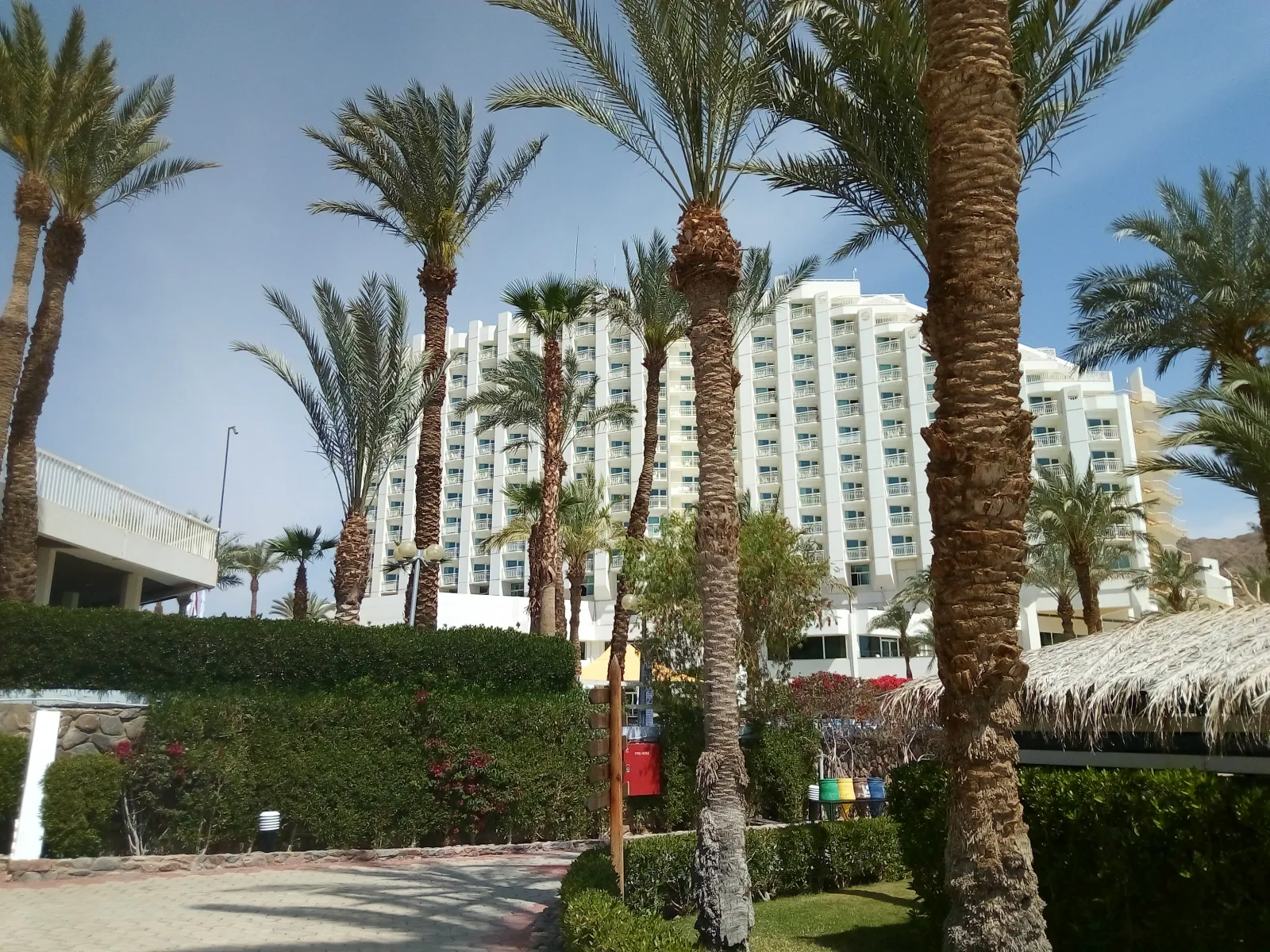 Alfanetwork Hilton Taba Building Hotel 2018 Sunsinai Com