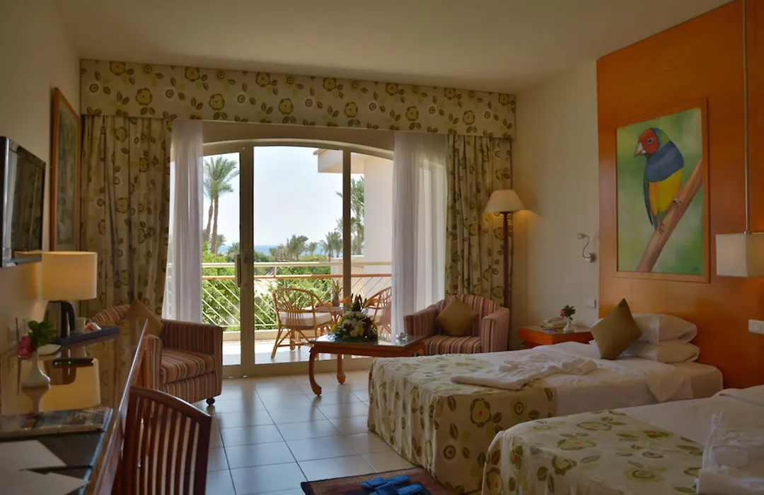 Parrotel Beach Resort pool