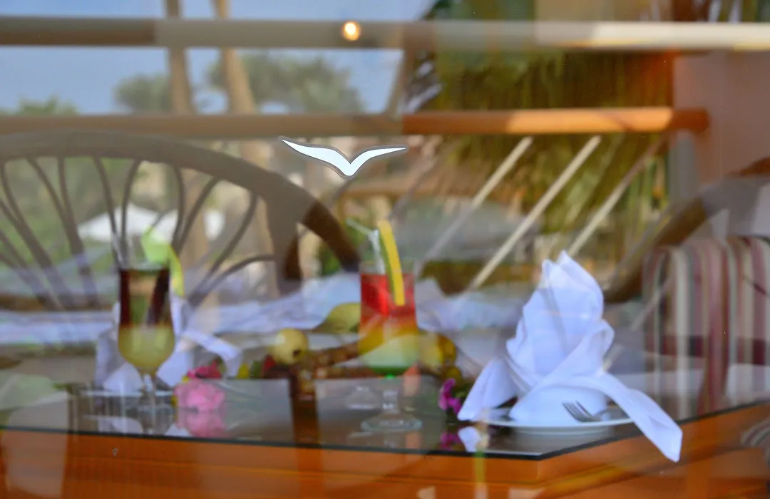 Parrotel Beach Resort grounds