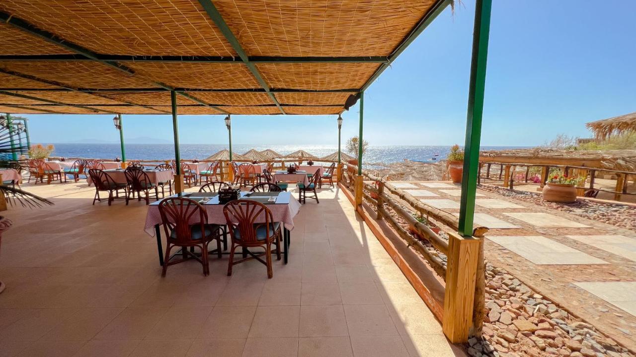 Sharm Reef Hotel, Hadaba