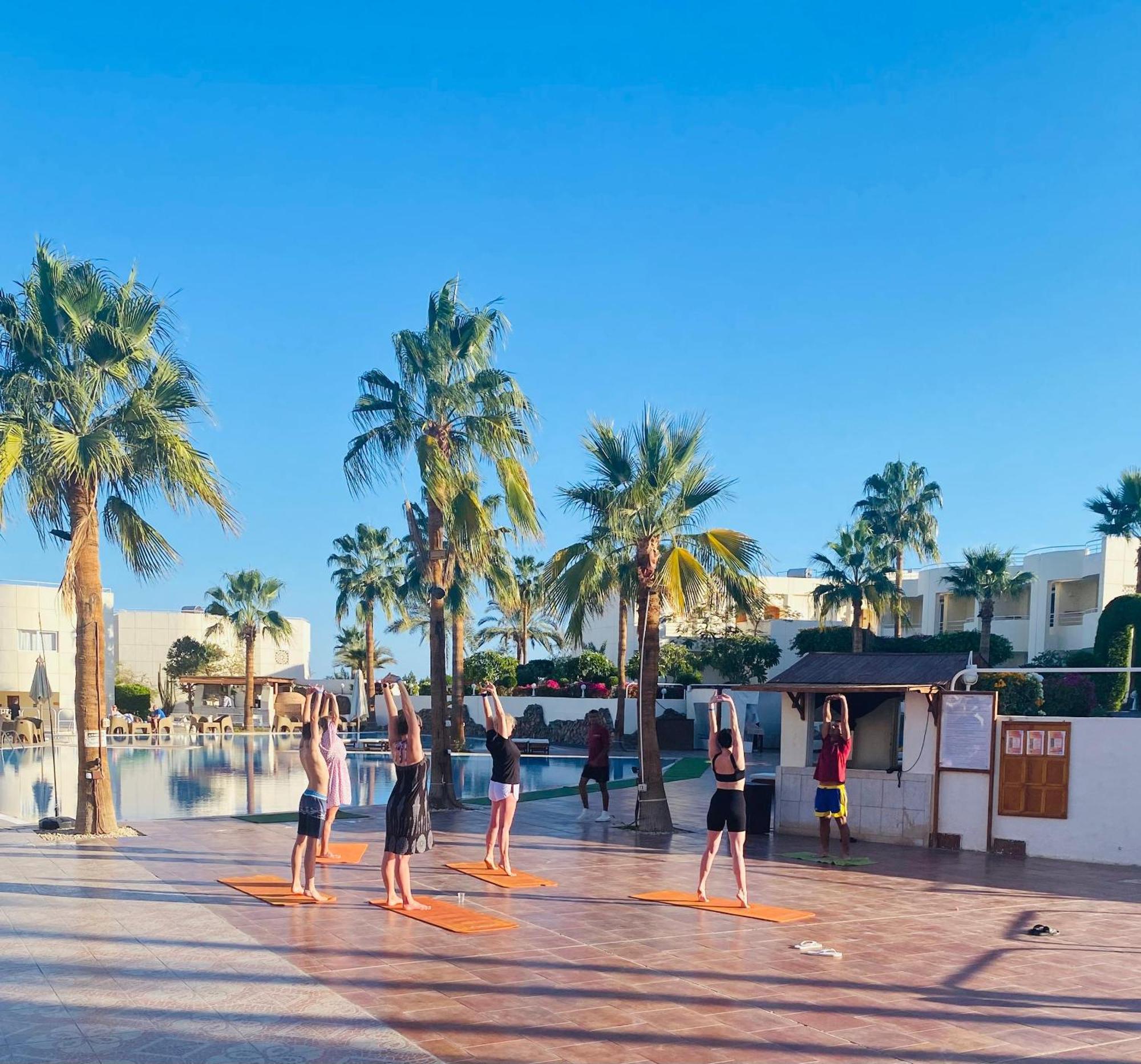 Sharm Reef Hotel pool